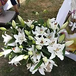 嘎斯霍夫巴德豪芬博格酒店 3*