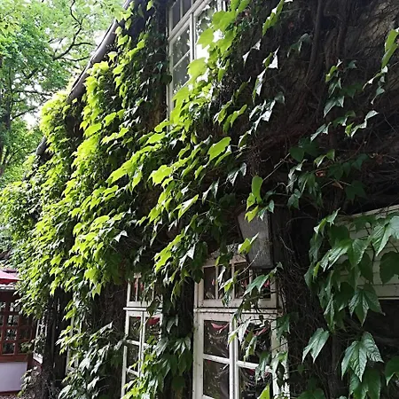 Bad Hopfenberg Penzion 3*