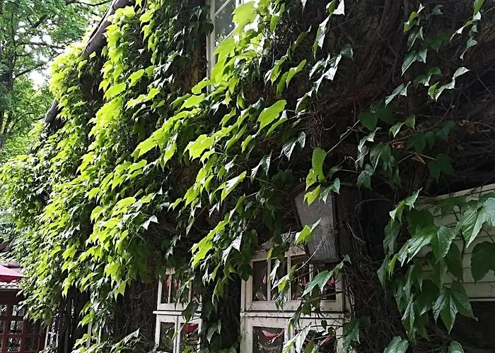 Bad Hopfenberg Kro 3*